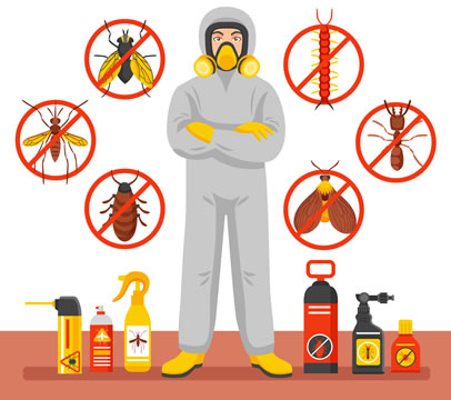 Control de plagas cerca de mi