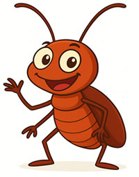 Fumigación de cucarachas en Bogotá