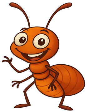 Fumigacion de termitas en Bogotá