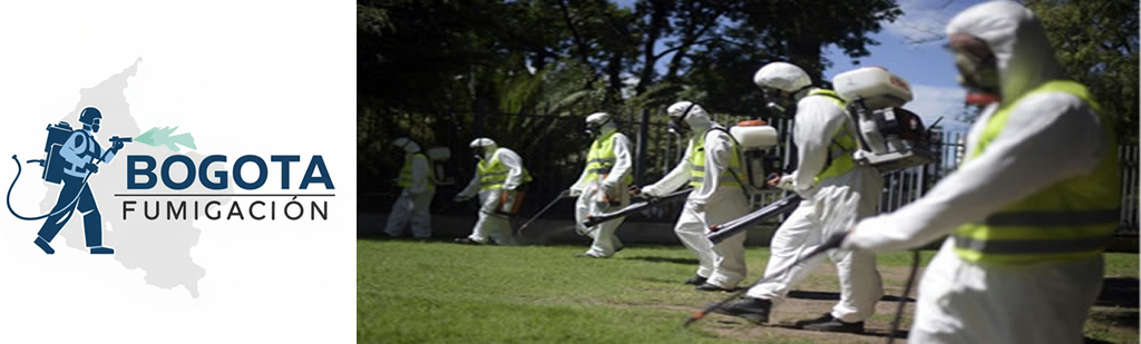 Servicios de fumigación en Bogotá